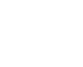 Pisa